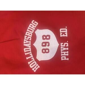 Vintage Gym Shorts Red Hollidaysburg Phys. Ed. Athletic Shorts